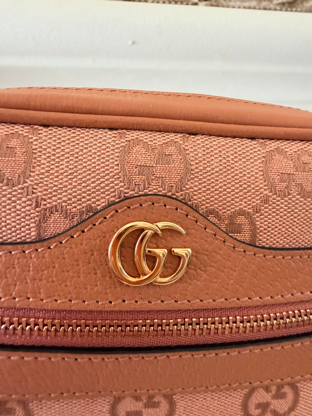 GUCCI Ophidia crossbody bag