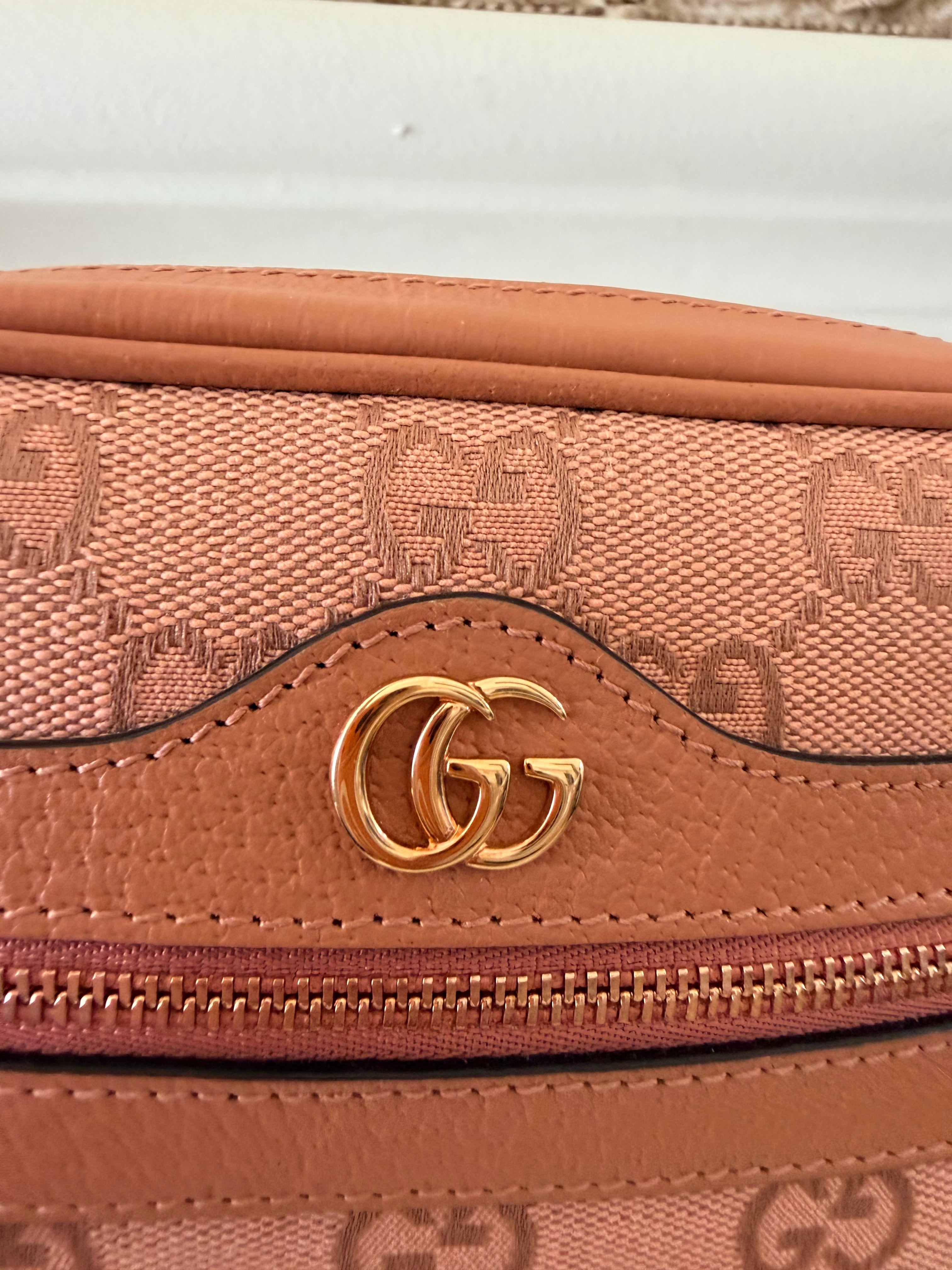 GUCCI Ophidia crossbody bag