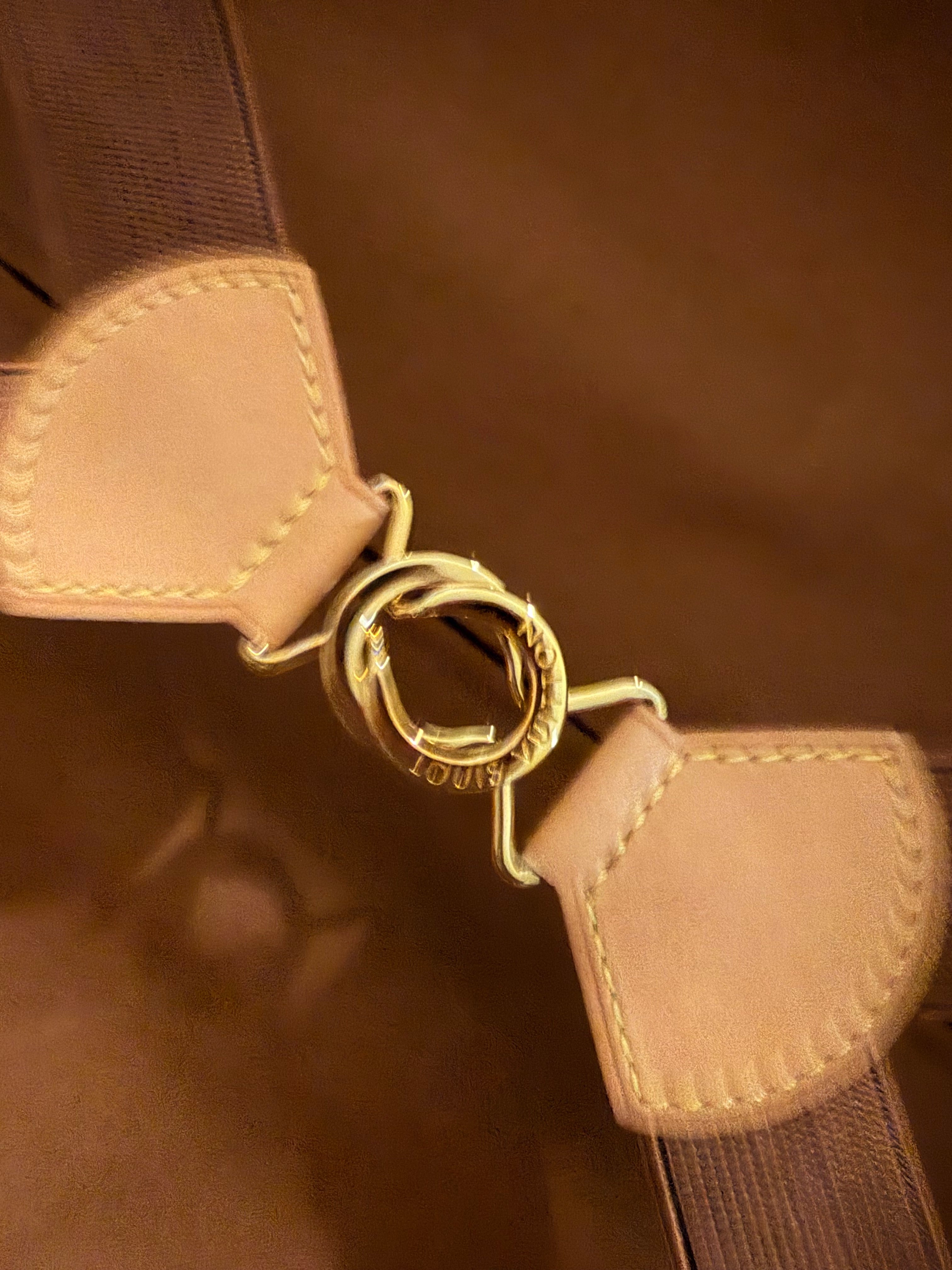 Louis Vuitton Monogram Pegase 55