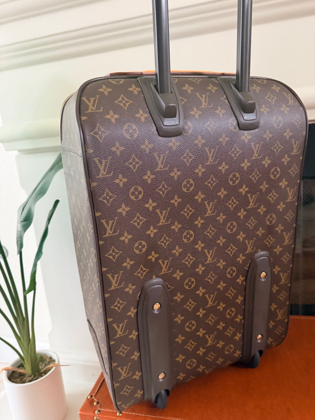 Louis Vuitton Monogram Pegase