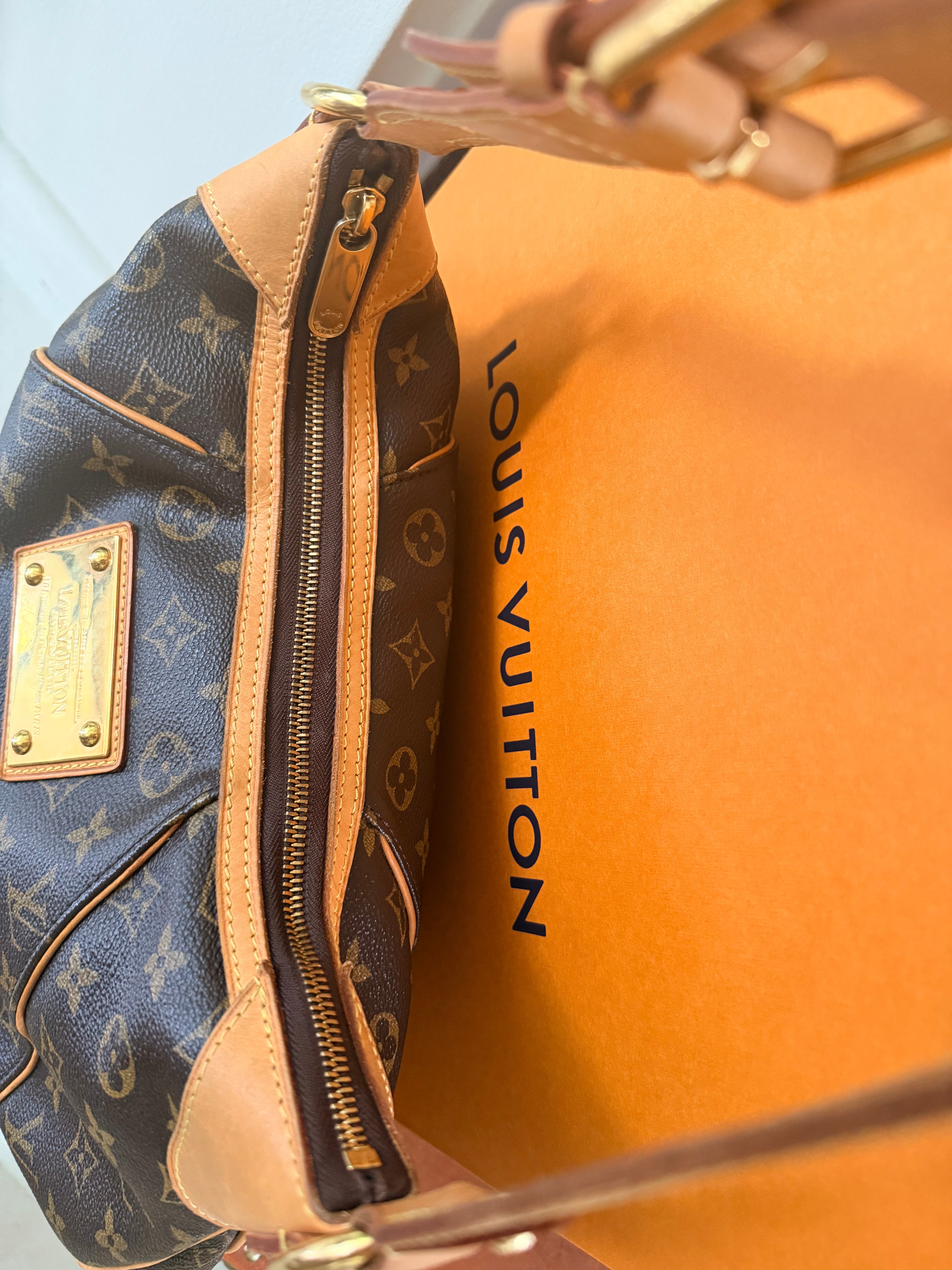 Louis Vuitton Thames PM Monogram Canvas Shoulder Bag