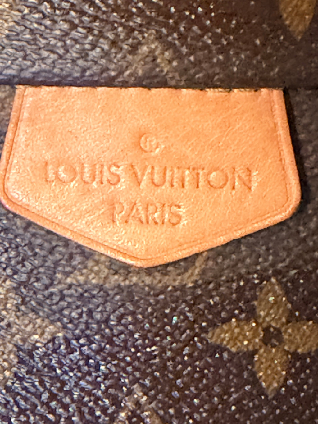 Louis Vuitton Bumbag ✨