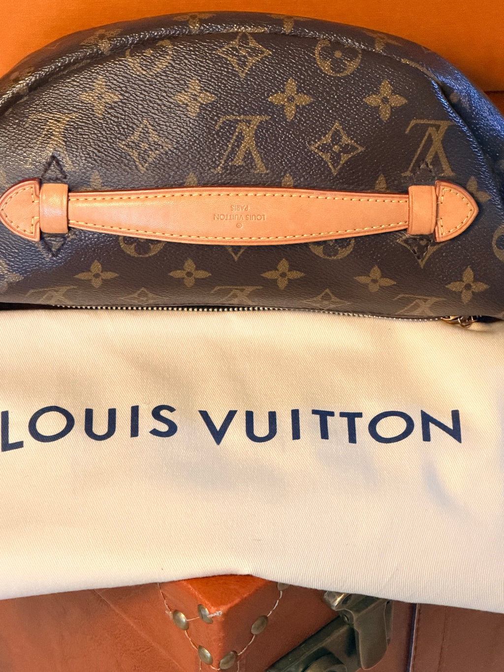 Louis Vuitton Bumbag ✨