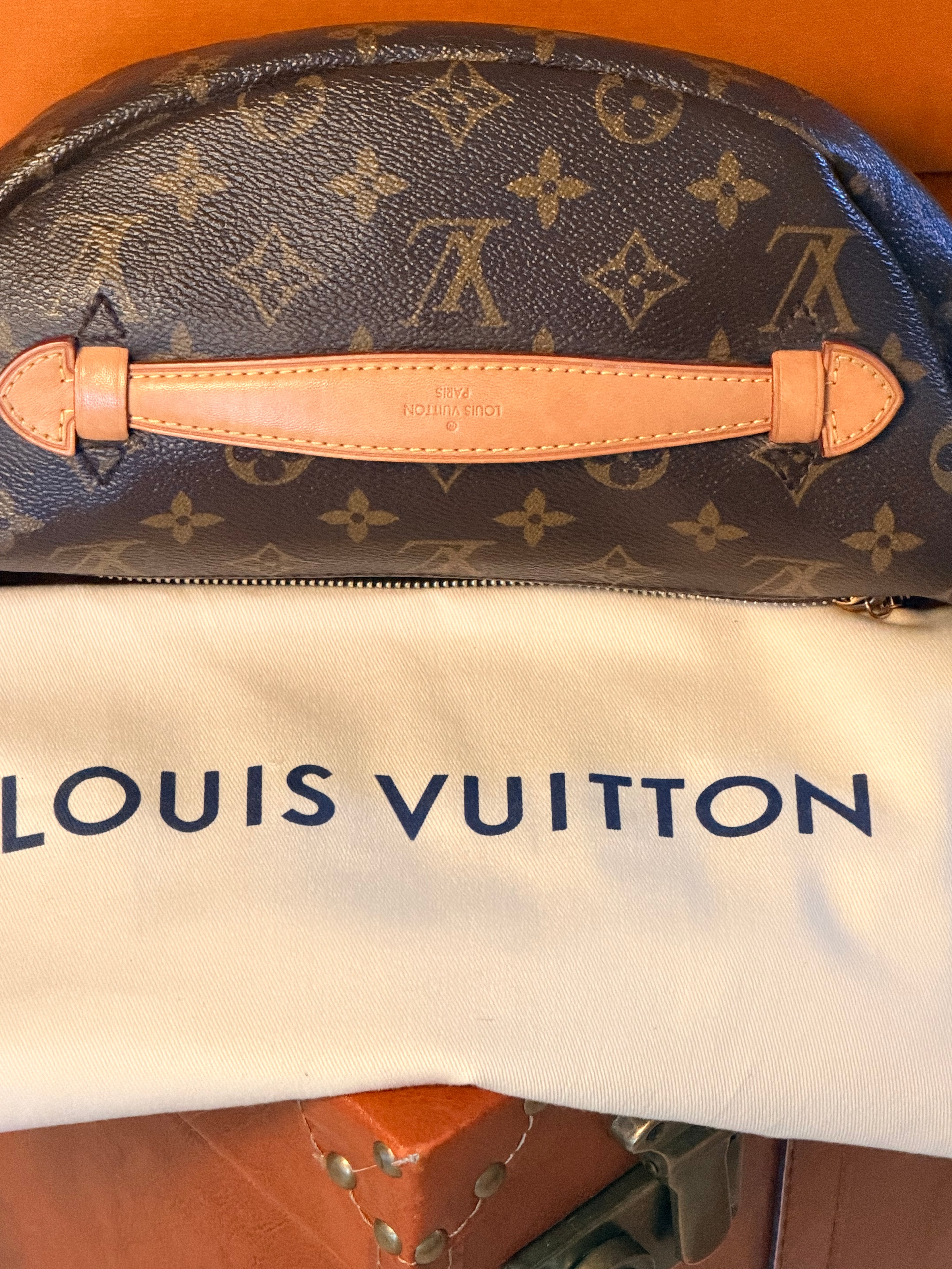 Louis Vuitton Bumbag ✨