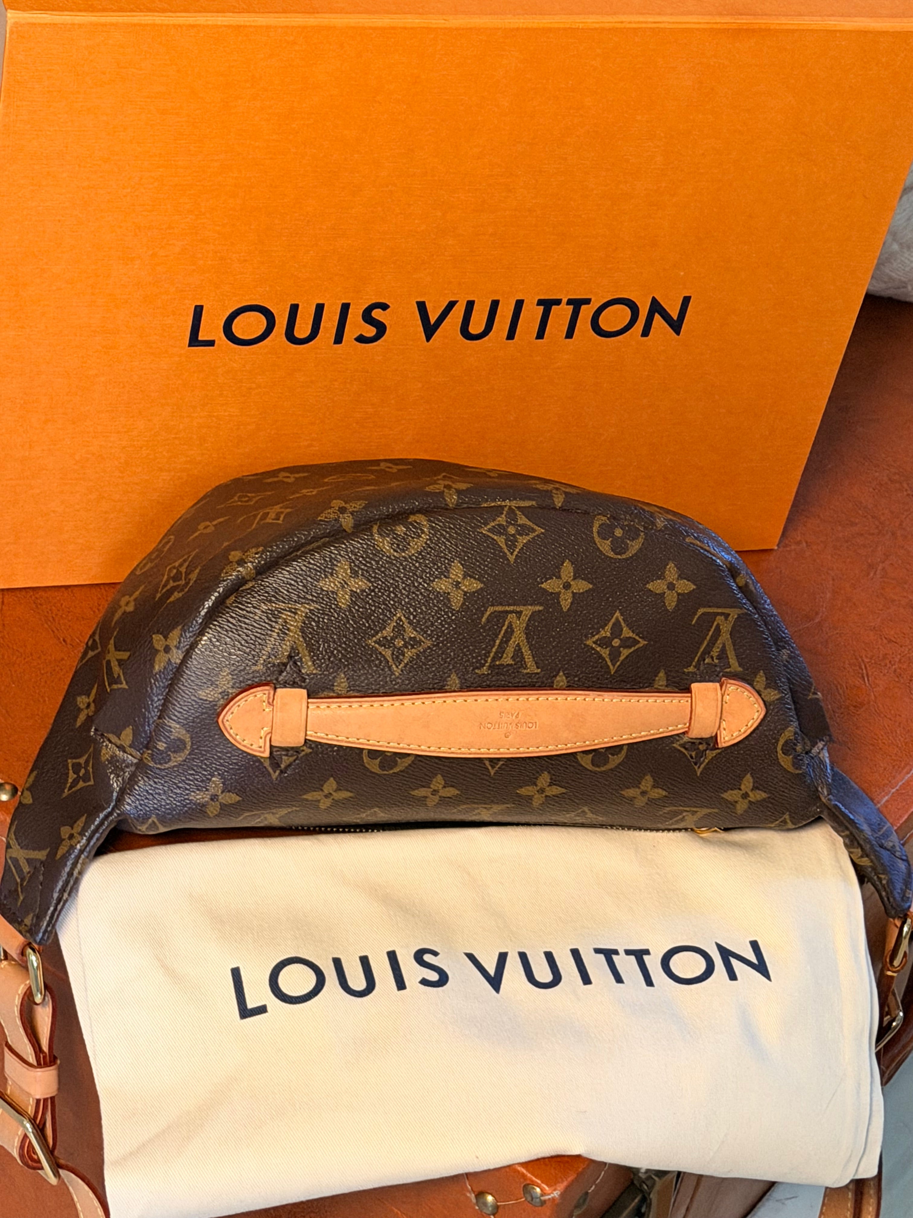 Louis Vuitton Bumbag ✨