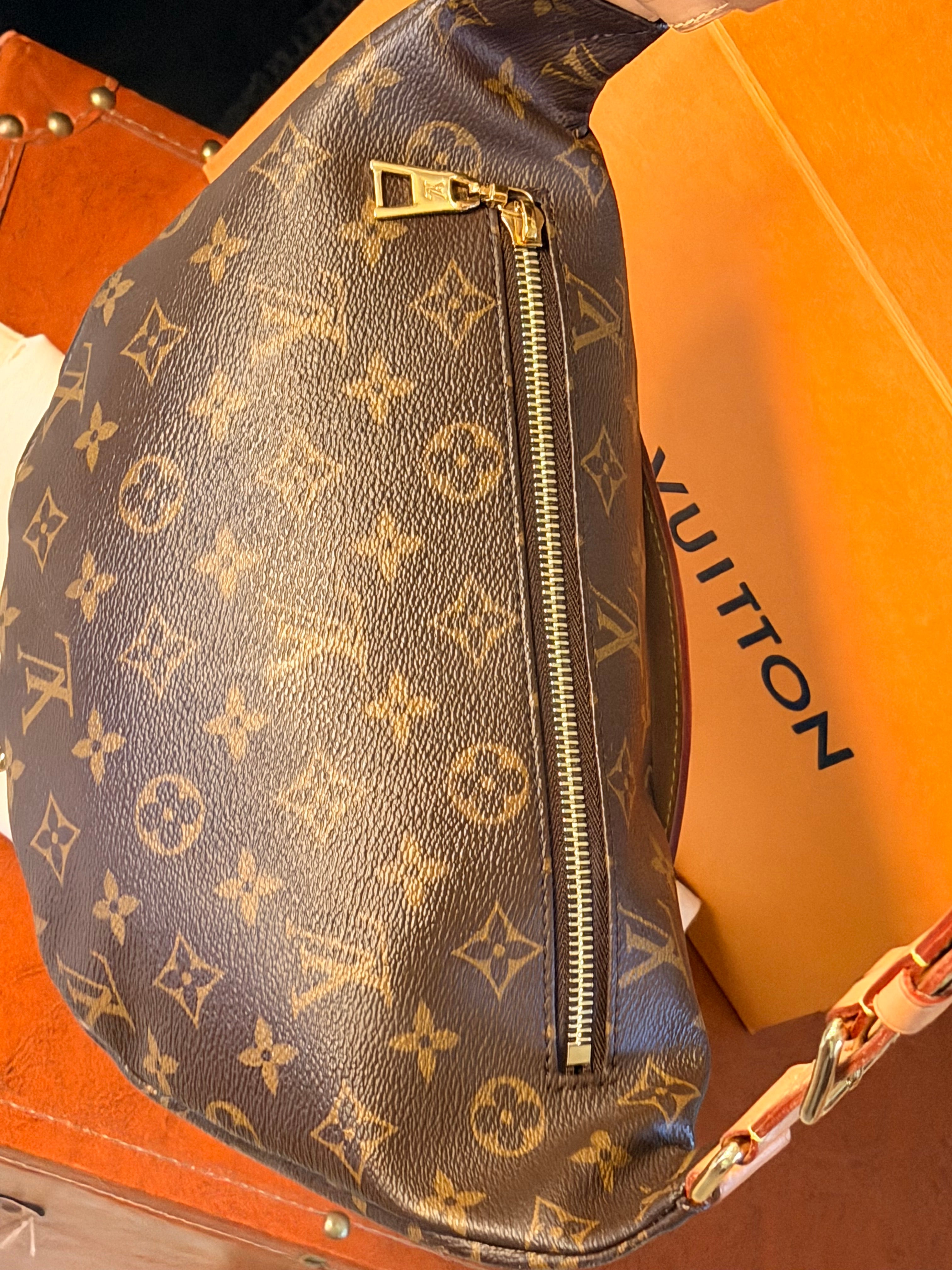 Louis Vuitton Bumbag ✨