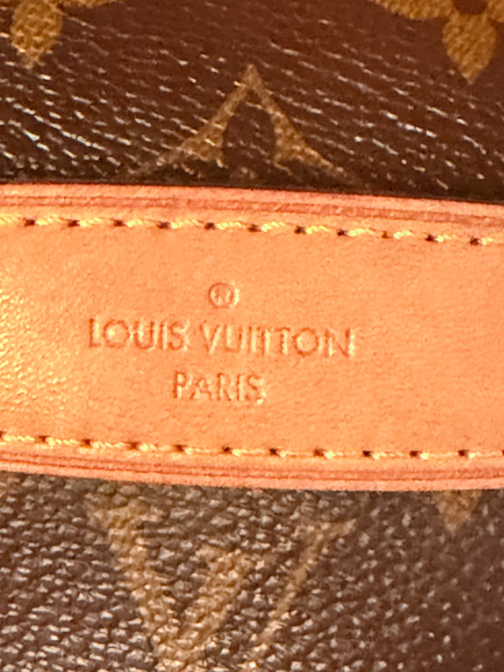 Louis Vuitton Bumbag ✨
