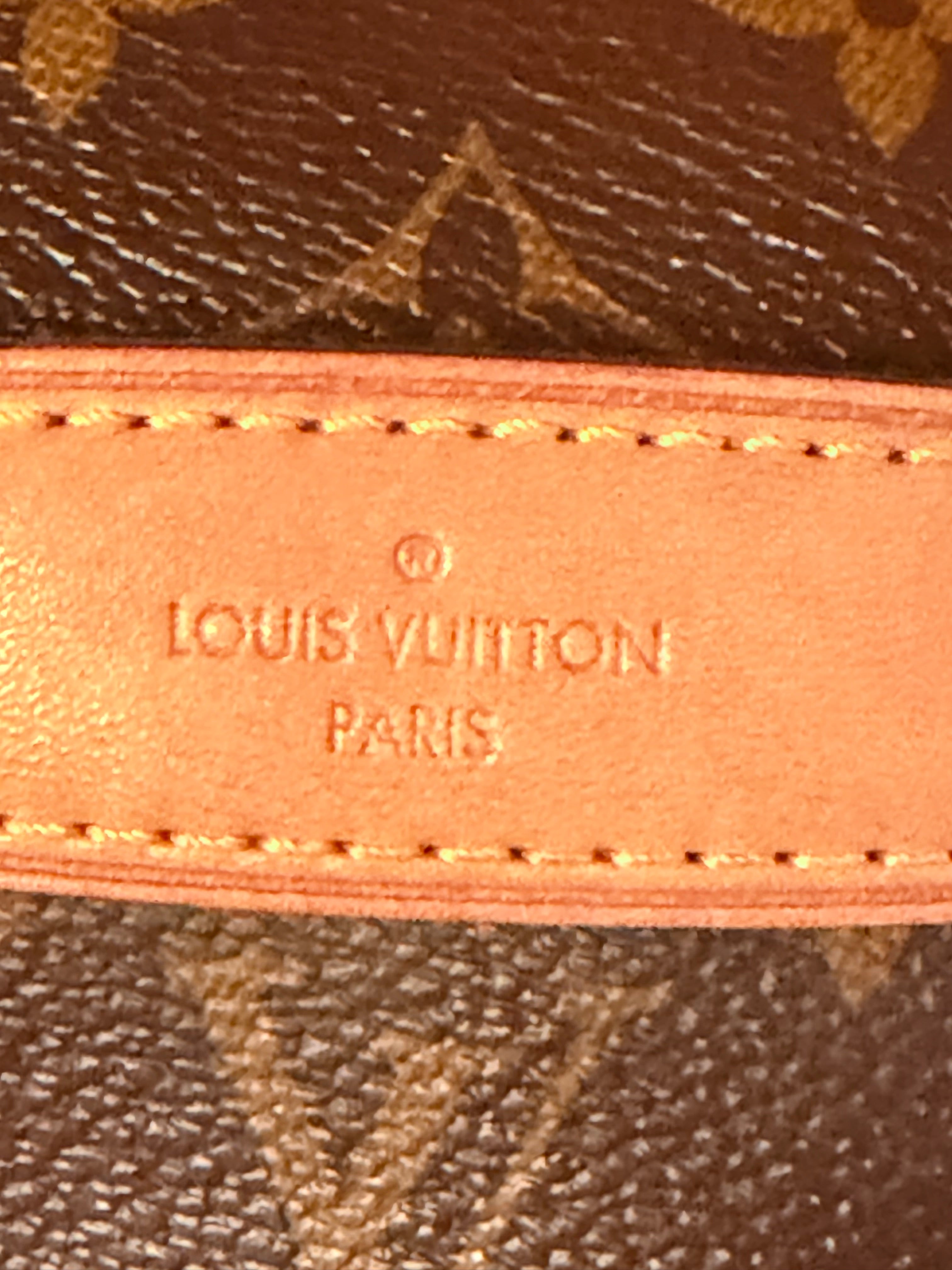 Louis Vuitton Bumbag ✨