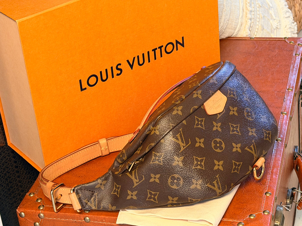 Louis Vuitton Bumbag ✨