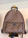 Louis Vuitton Monogram backpack