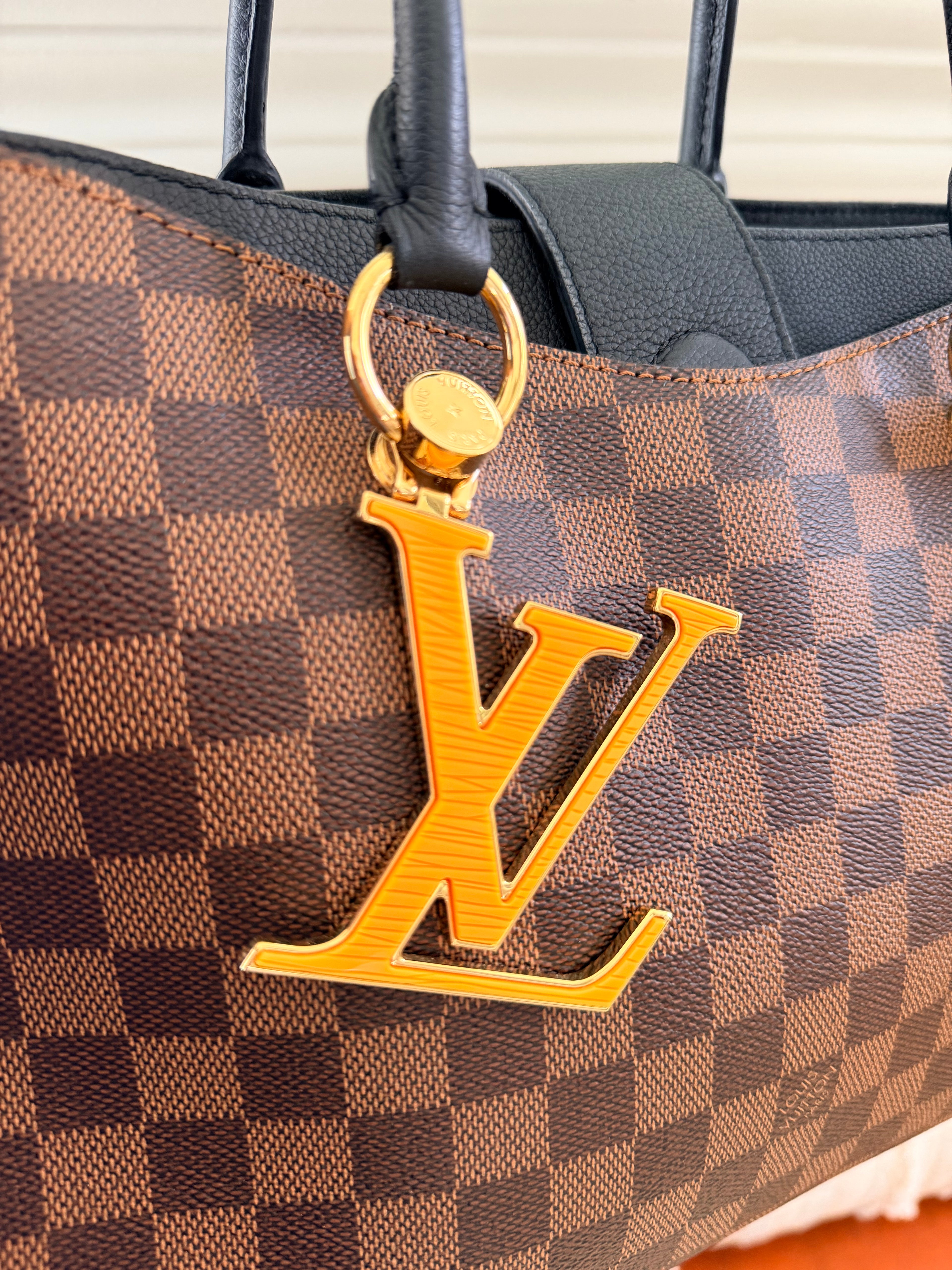 Louis Vuitton Riverside Tote in Damier Ebene