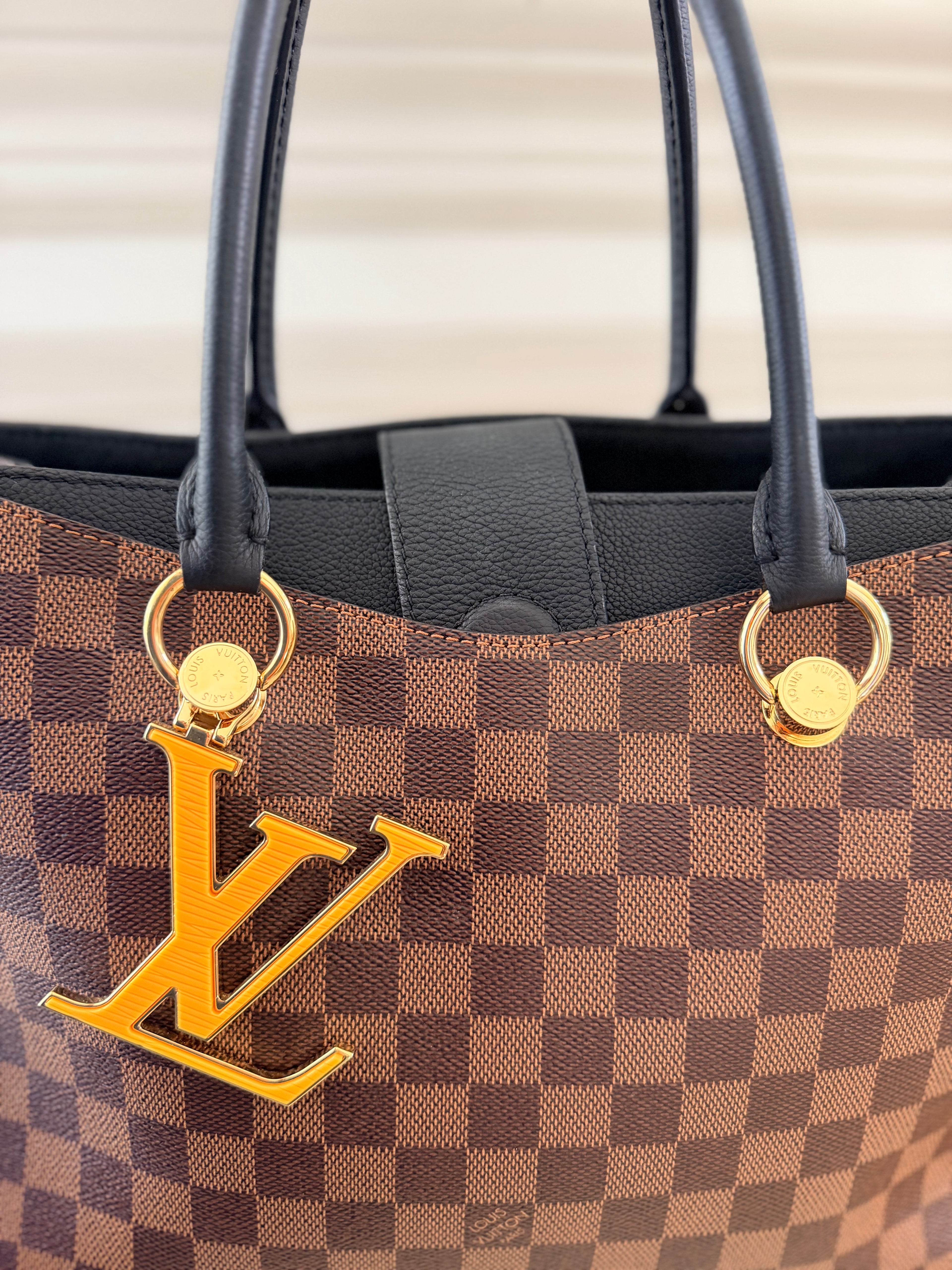 Louis Vuitton Riverside Tote in Damier Ebene