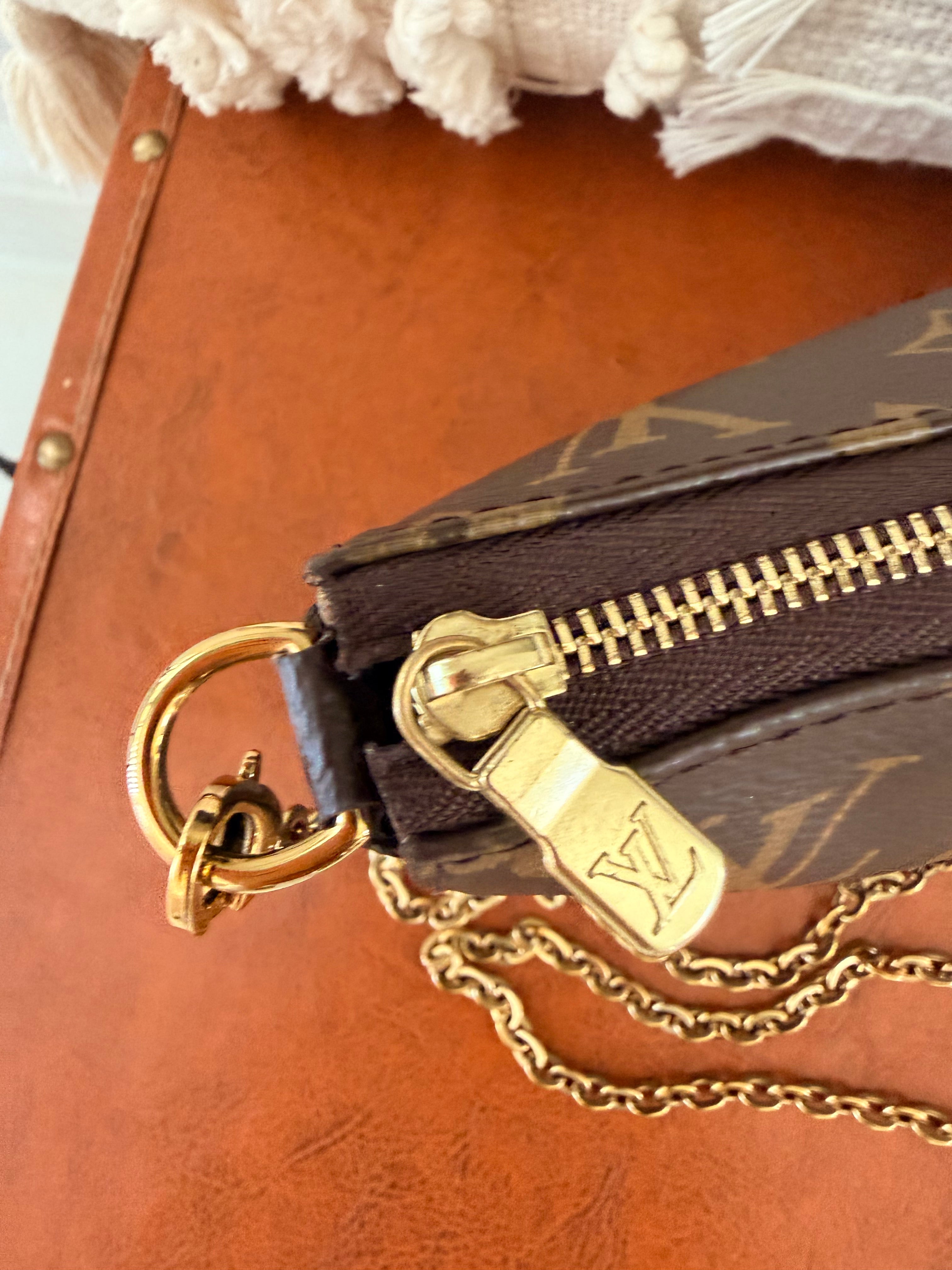 Louis Vuitton Pochette Accessories