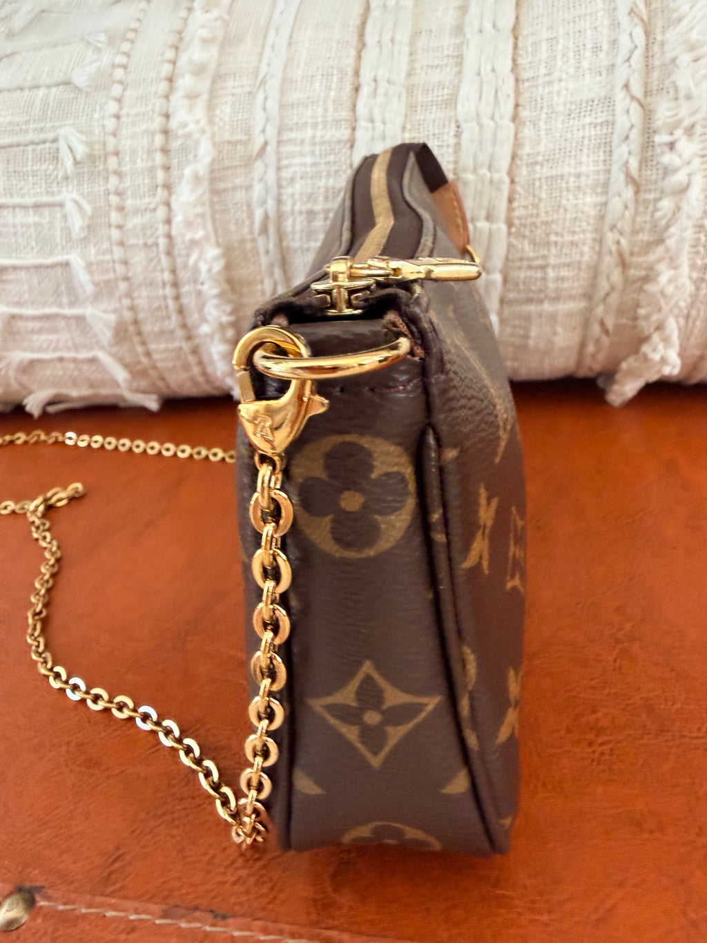 Louis Vuitton Pochette Accessories