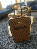 LOUIS VUITTON Pegase Business Luggage Damier