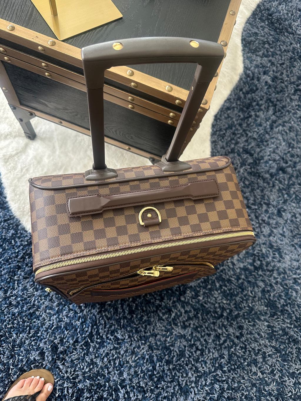 LOUIS VUITTON Pegase Business Luggage Damier