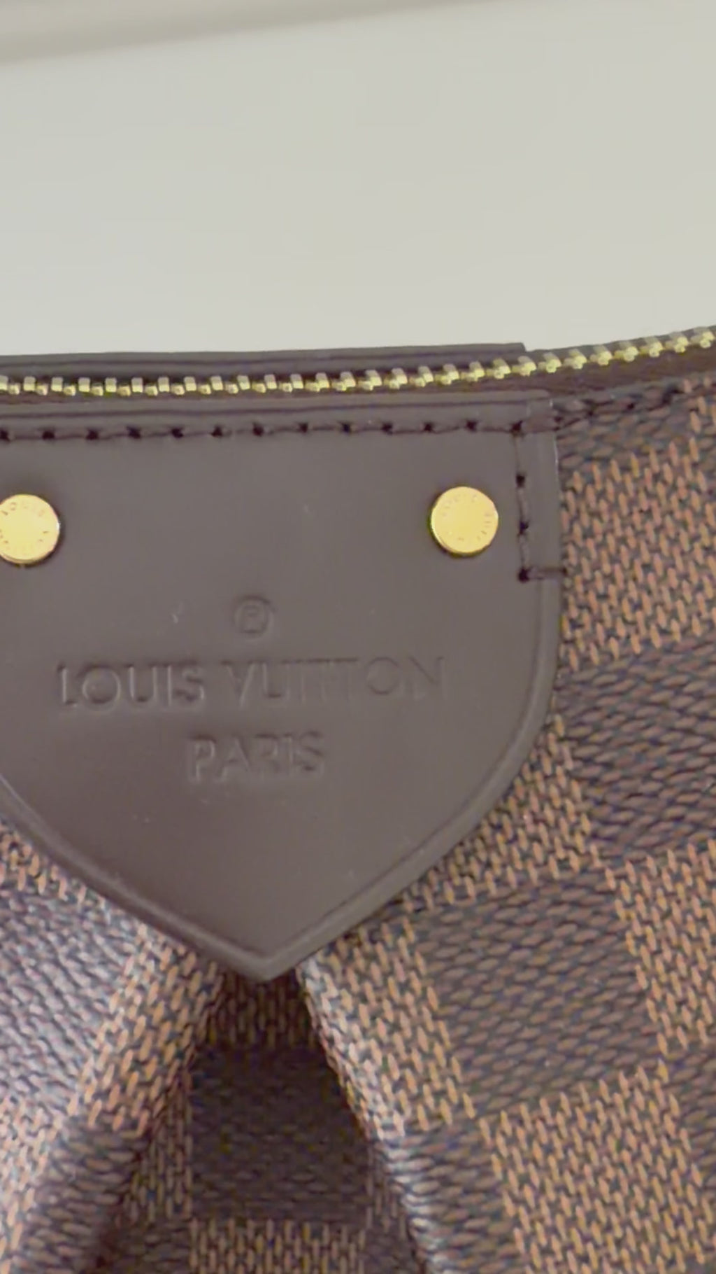 Louis Vuitton Siena MM Damier Ebene Bag